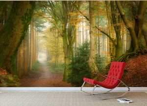 Following Fog Wall Mural Wallpaper - Canvas Art Rocks - 2