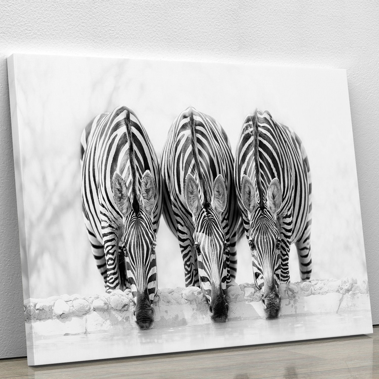 Zebras Drinking Canvas Print or Poster - Canvas Art Rocks - 1