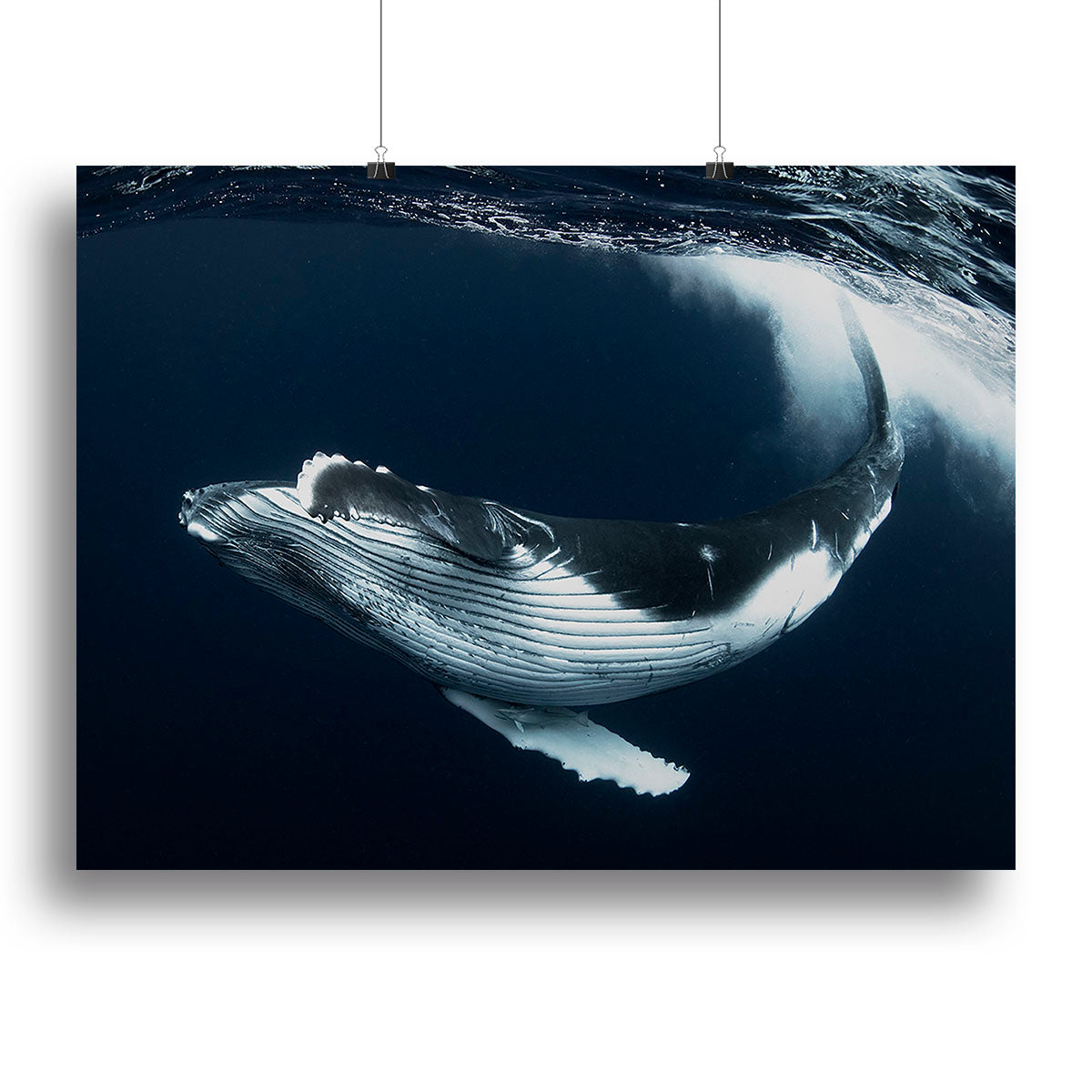 Beautiful Turn Canvas Print or Poster - Canvas Art Rocks - 2