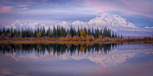 Denali Reflection Wall Mural Wallpaper - Canvas Art Rocks - 1