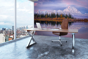 Denali Reflection Wall Mural Wallpaper - Canvas Art Rocks - 3