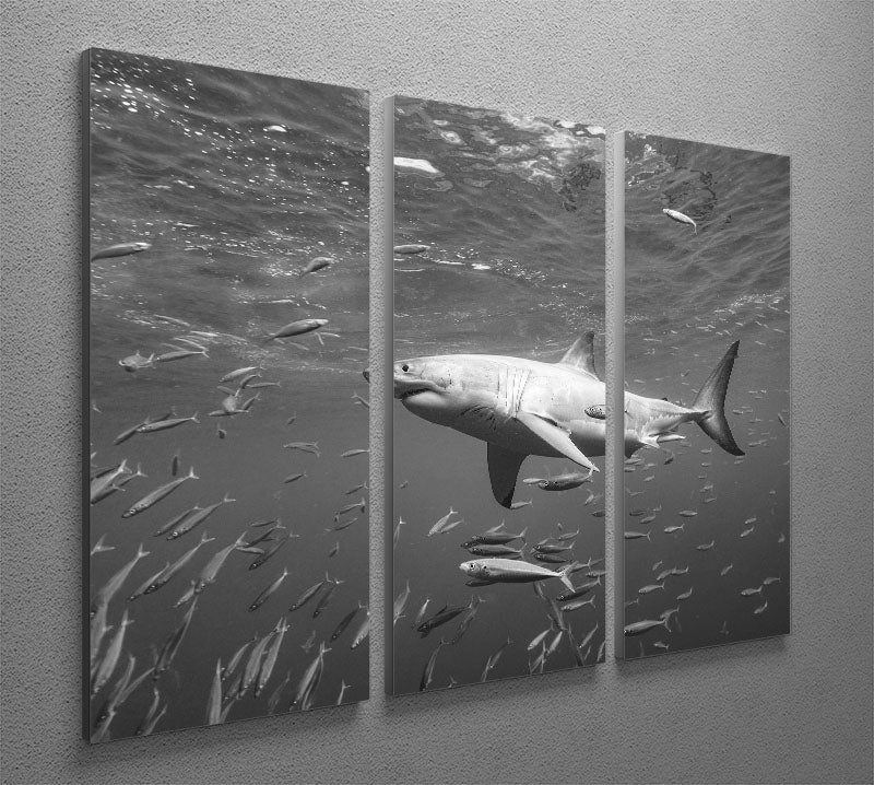 At The Surface 3 Split Panel Canvas Print - Canvas Art Rocks - 2