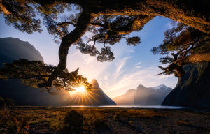 Sunny Day In Milford Sound Wall Mural Wallpaper - Canvas Art Rocks - 1