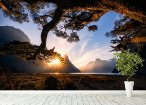 Sunny Day In Milford Sound Wall Mural Wallpaper - Canvas Art Rocks - 4