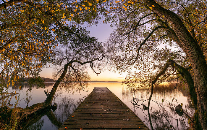 Autumn Pier Wall Mural Wallpaper