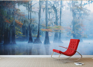 Foggy Swamp Morning Wall Mural Wallpaper - Canvas Art Rocks - 2