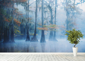 Foggy Swamp Morning Wall Mural Wallpaper - Canvas Art Rocks - 4