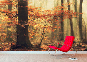 Soft Fall Wall Mural Wallpaper - Canvas Art Rocks - 2