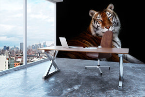 Serenity Tiger Wall Mural Wallpaper - Canvas Art Rocks - 3