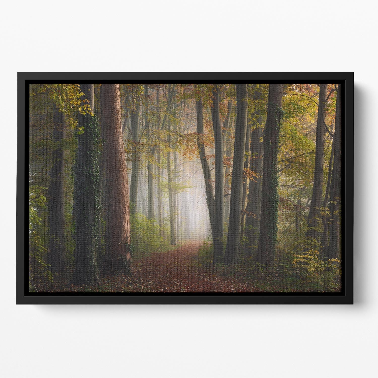 Autumn Colorful Forest Floating Framed Canvas - Canvas Art Rocks - 2