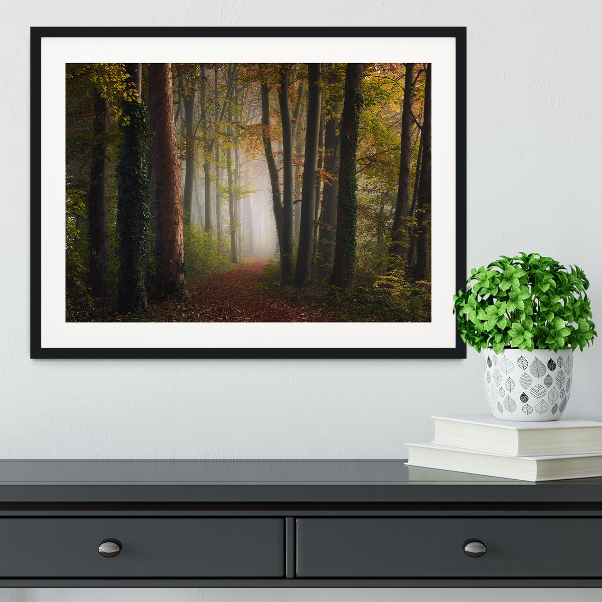 Autumn Colorful Forest Framed Print - Canvas Art Rocks - 1