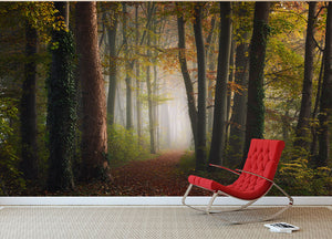 Autumn Colorful Forest Wall Mural Wallpaper - Canvas Art Rocks - 2