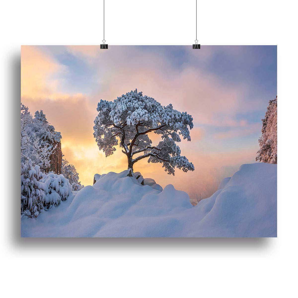 Cold Loner Canvas Print or Poster - Canvas Art Rocks - 2