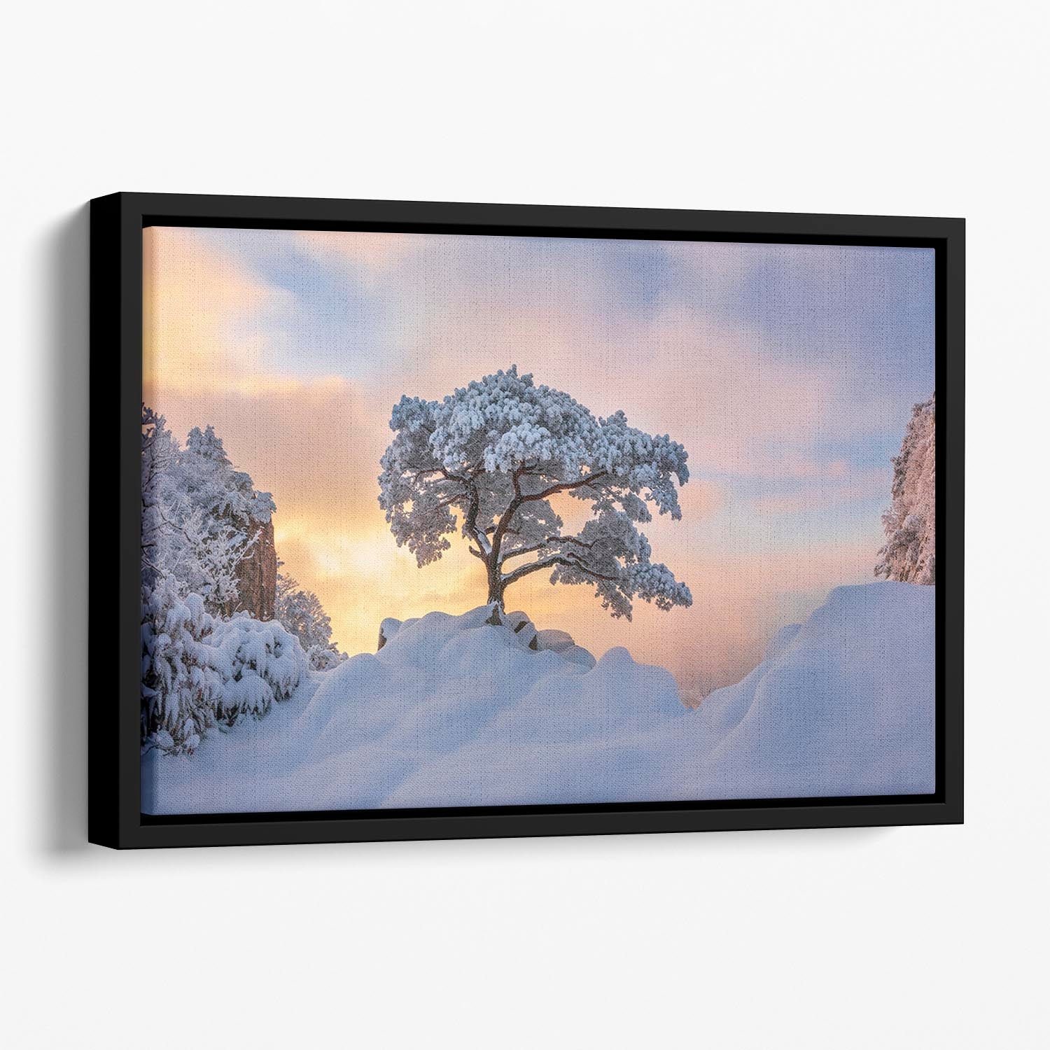 Cold Loner Floating Framed Canvas - Canvas Art Rocks - 1