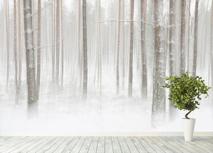 Winterforest In Sweden Wall Mural Wallpaper - Canvas Art Rocks - 4