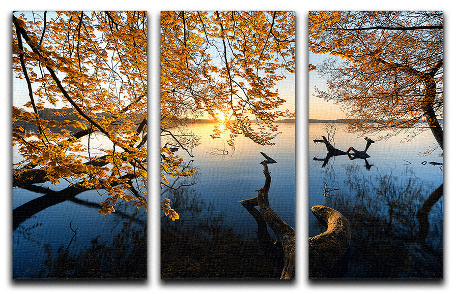 Autumn Morning 3 Split Panel Canvas Print - Canvas Art Rocks - 1