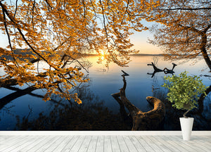 Autumn Morning Wall Mural Wallpaper - Canvas Art Rocks - 4