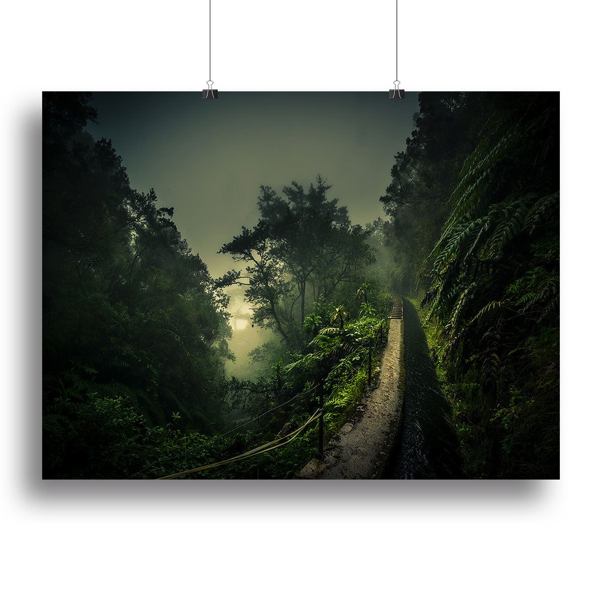 Levada Walk Canvas Print or Poster - Canvas Art Rocks - 2