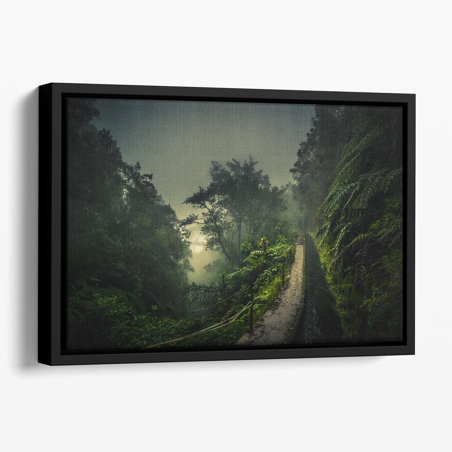 Levada Walk Floating Framed Canvas - Canvas Art Rocks - 1