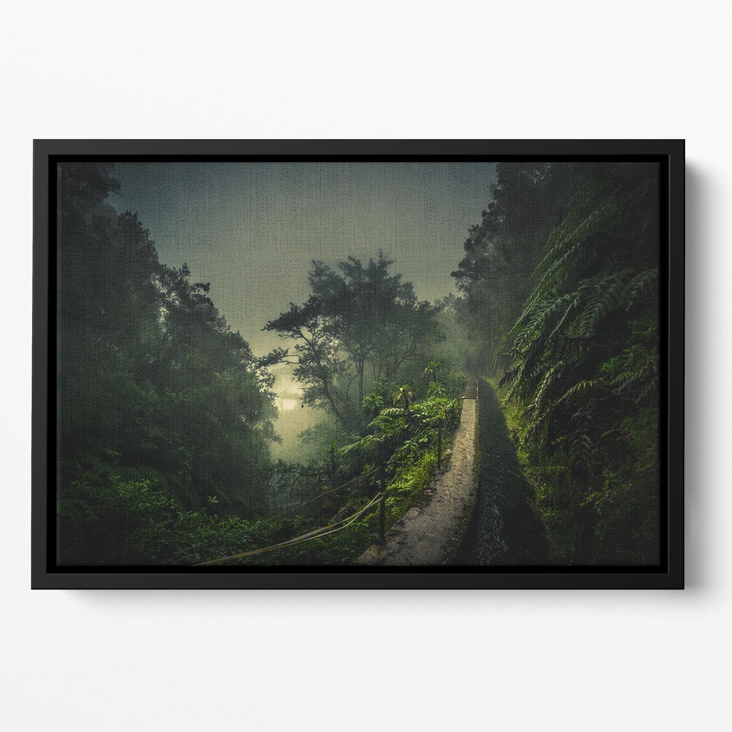 Levada Walk Floating Framed Canvas - Canvas Art Rocks - 2