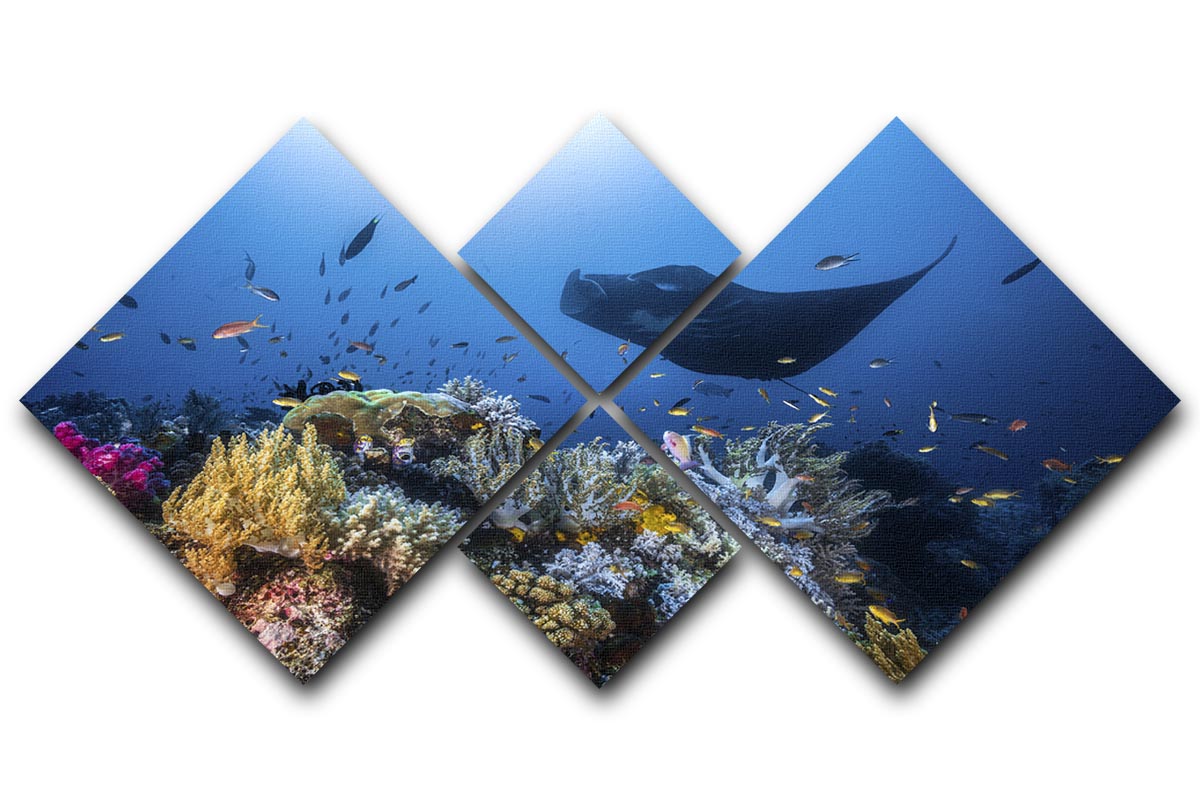 Manta Reef On The Reef 4 Square Multi Panel Canvas - Canvas Art Rocks - 1