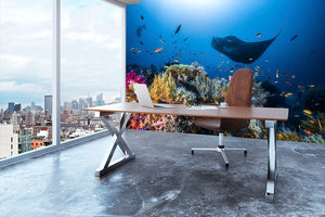 Manta Reef On The Reef Wall Mural Wallpaper - Canvas Art Rocks - 3