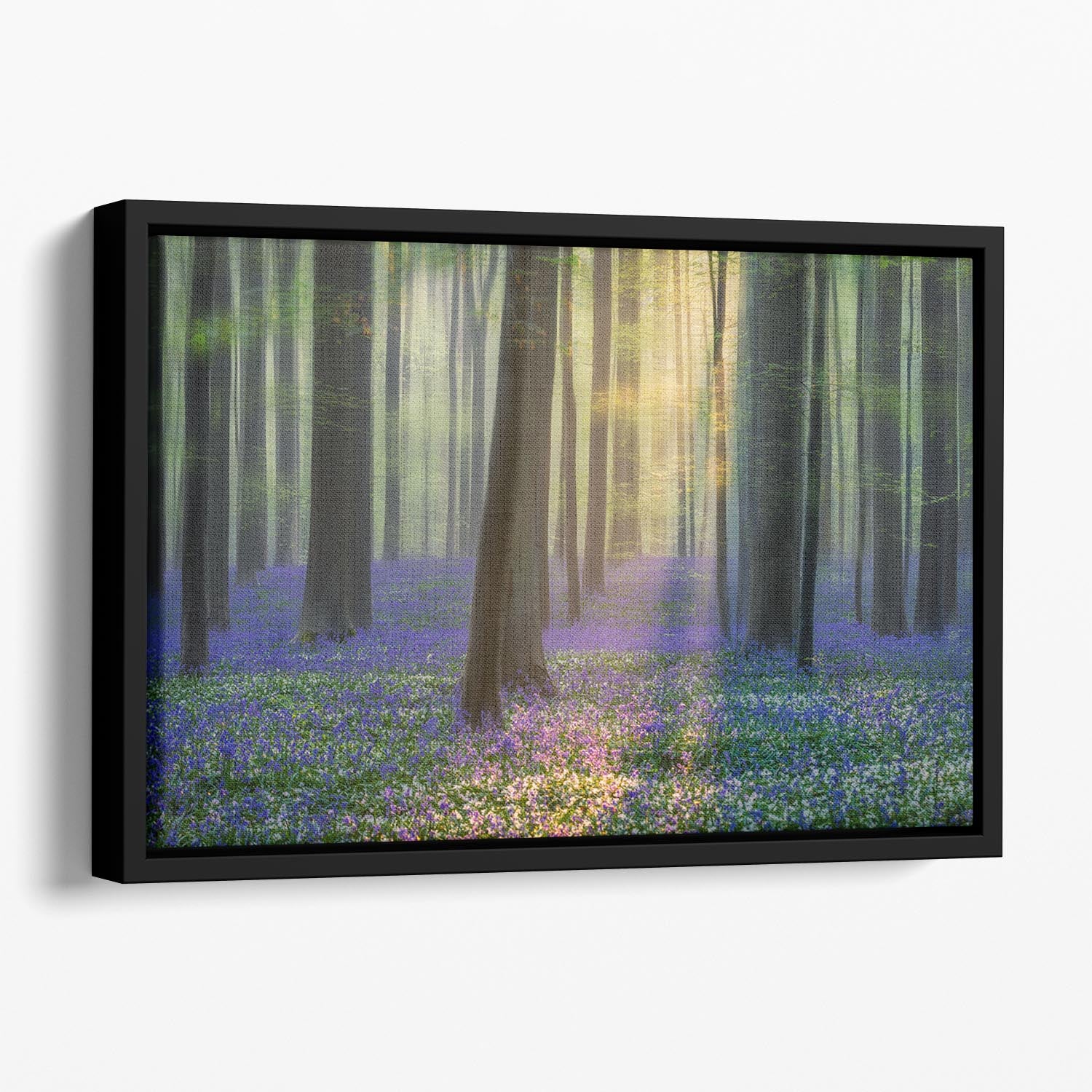 Daydreaming Of Bluebells Floating Framed Canvas - Canvas Art Rocks - 1