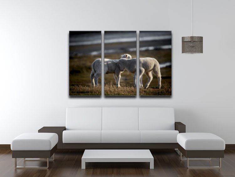 Lambs 3 Split Panel Canvas Print - Canvas Art Rocks - 3
