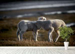 Lambs Wall Mural Wallpaper - Canvas Art Rocks - 4