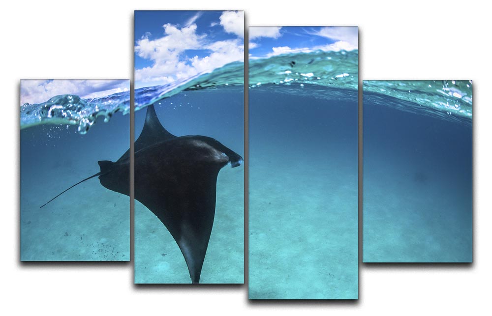 A Reef Manta Ray In Mayotte 4 Split Panel Canvas - Canvas Art Rocks - 1