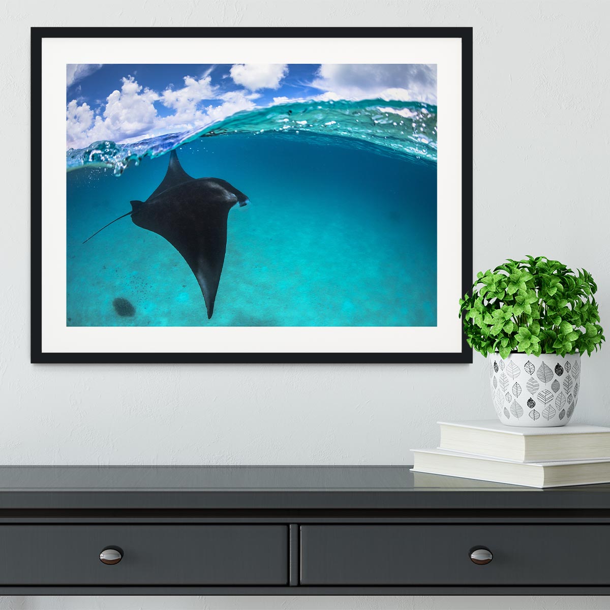 A Reef Manta Ray In Mayotte Framed Print - Canvas Art Rocks - 1