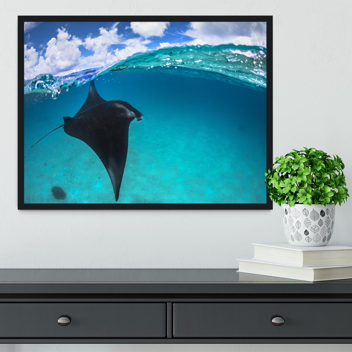 A Reef Manta Ray In Mayotte Framed Print - Canvas Art Rocks - 2