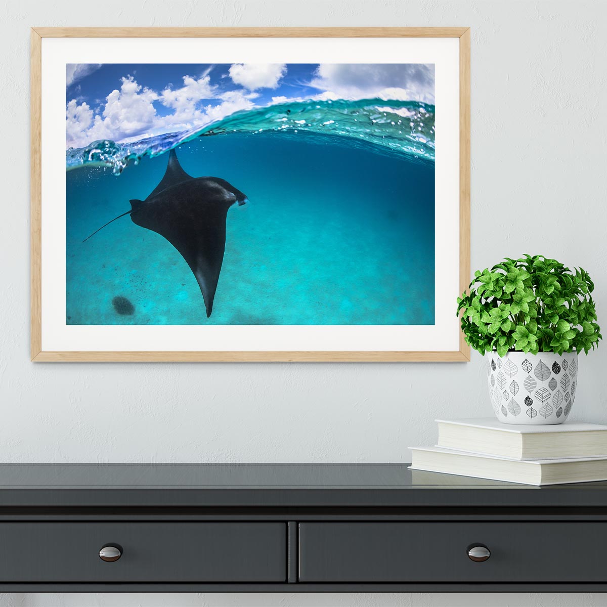 A Reef Manta Ray In Mayotte Framed Print - Canvas Art Rocks - 3