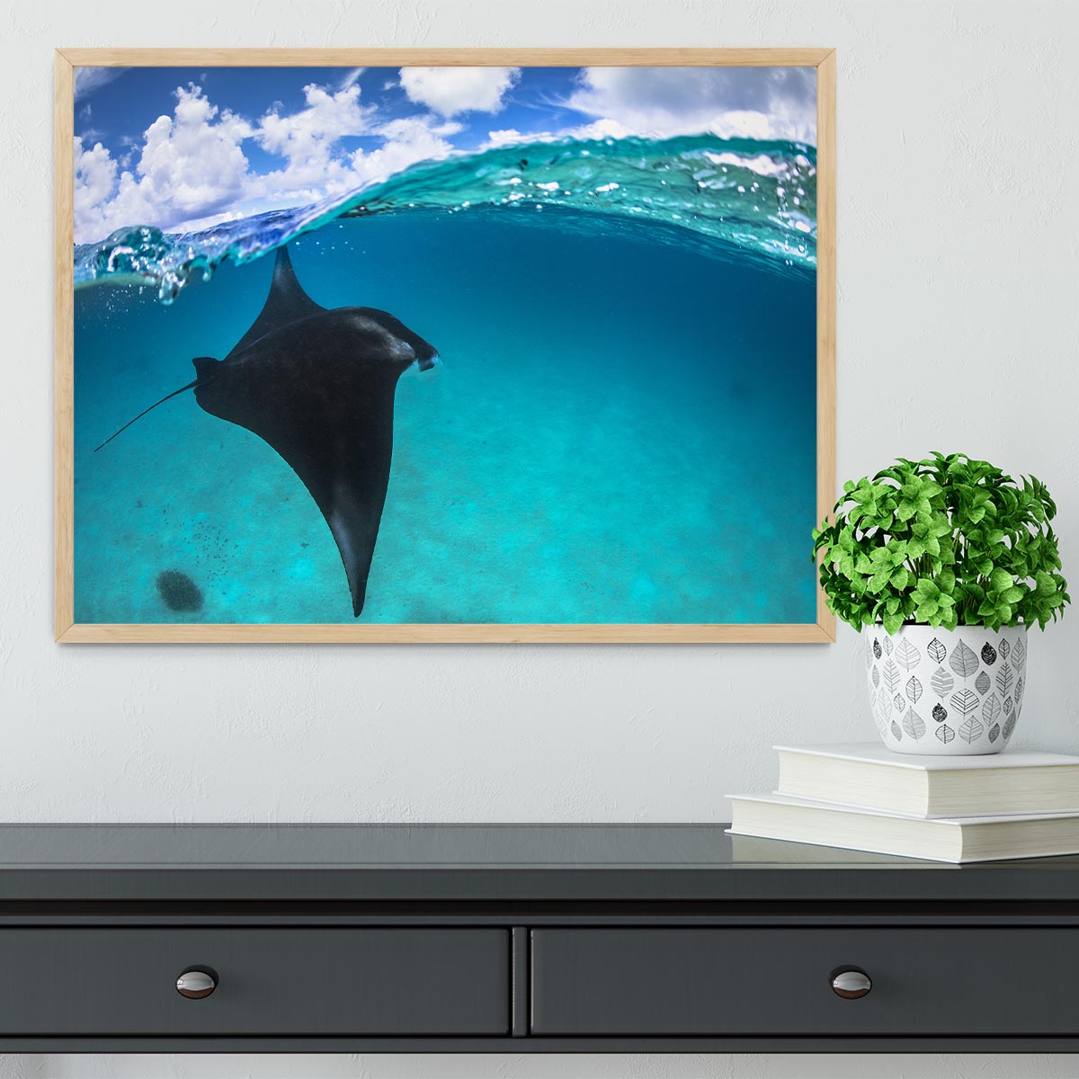 A Reef Manta Ray In Mayotte Framed Print - Canvas Art Rocks - 4