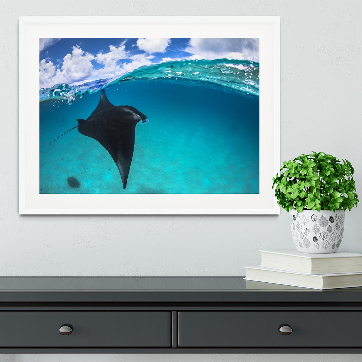 A Reef Manta Ray In Mayotte Framed Print - Canvas Art Rocks - 5