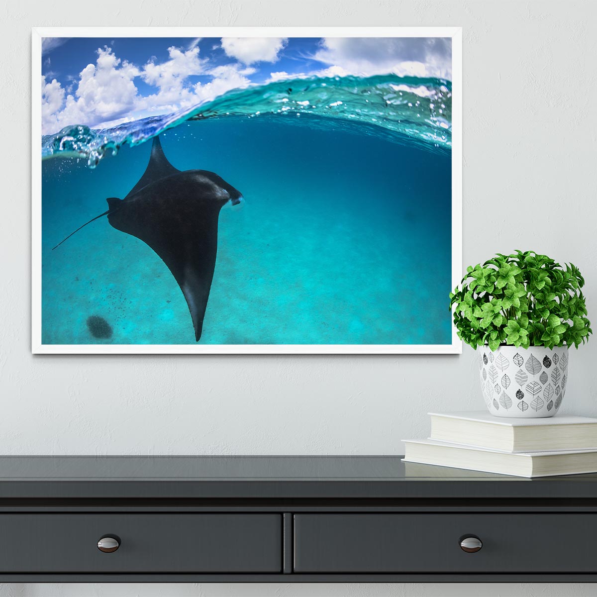 A Reef Manta Ray In Mayotte Framed Print - Canvas Art Rocks -6