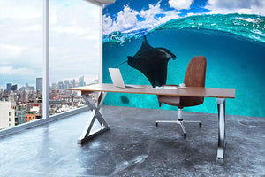 A Reef Manta Ray In Mayotte Wall Mural Wallpaper - Canvas Art Rocks - 3