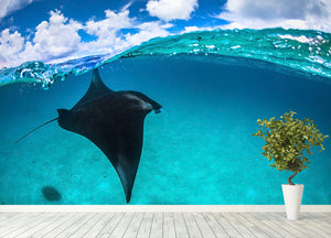 A Reef Manta Ray In Mayotte Wall Mural Wallpaper - Canvas Art Rocks - 4