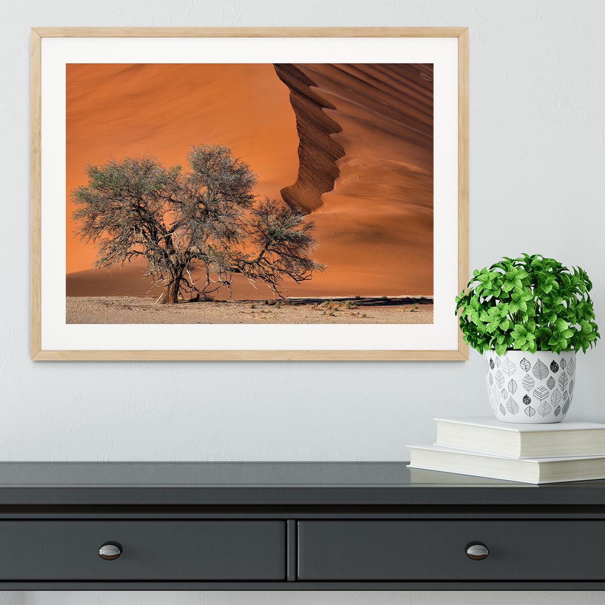 Acacia In The Desert Framed Print - Canvas Art Rocks - 3