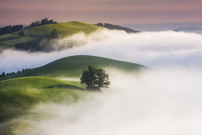 Green Hills Wall Mural Wallpaper