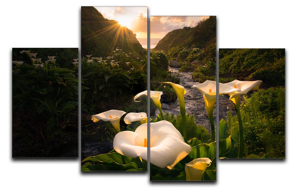 Calla Lily World 4 Split Panel Canvas - Canvas Art Rocks - 1