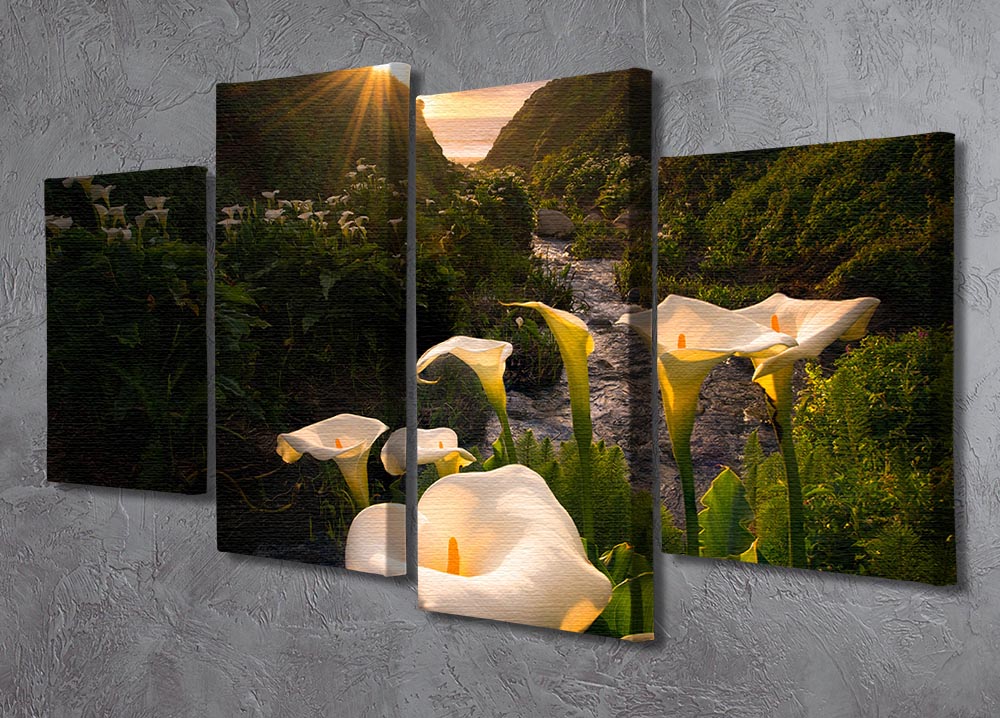 Calla Lily World 4 Split Panel Canvas - Canvas Art Rocks - 2