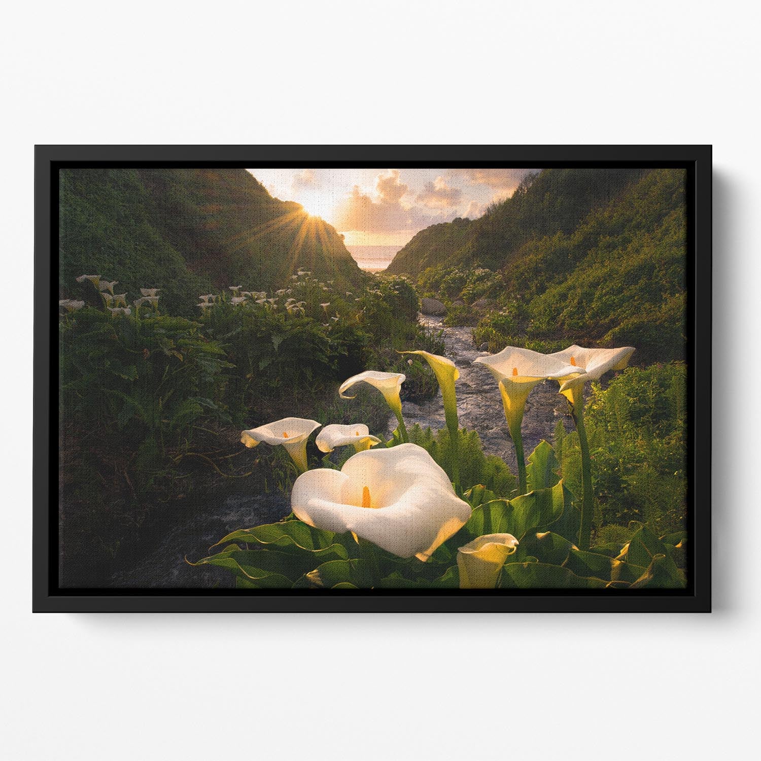 Calla Lily World Floating Framed Canvas - Canvas Art Rocks - 2