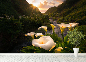 Calla Lily World Wall Mural Wallpaper - Canvas Art Rocks - 4