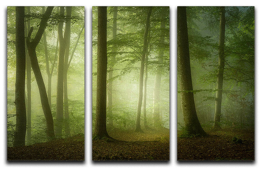Mysterious Spring Morning 3 Split Panel Canvas Print - Canvas Art Rocks - 1