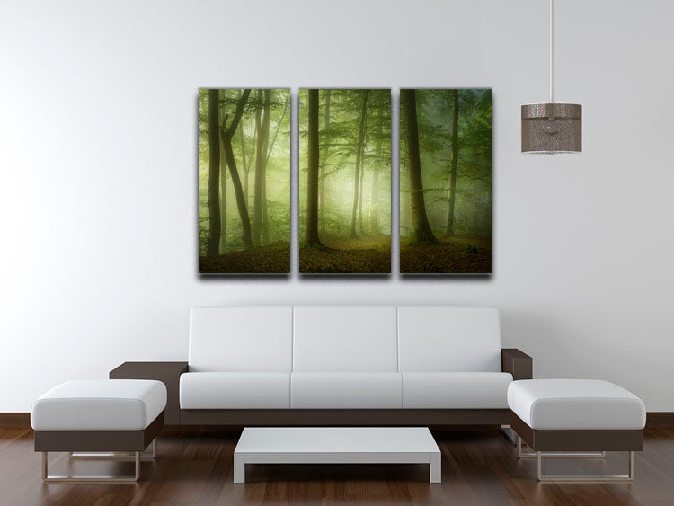 Mysterious Spring Morning 3 Split Panel Canvas Print - Canvas Art Rocks - 3