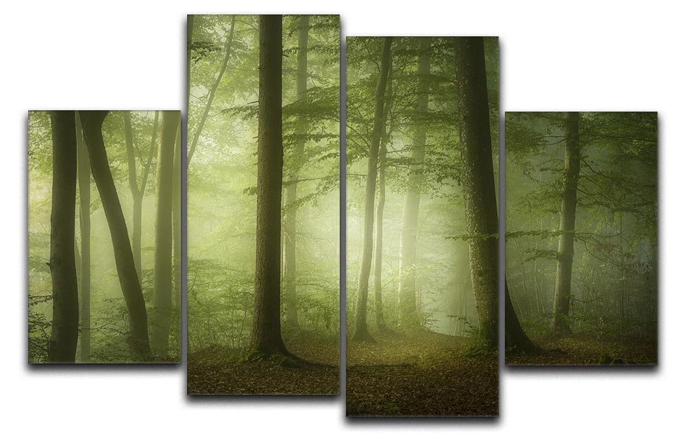 Mysterious Spring Morning 4 Split Panel Canvas - Canvas Art Rocks - 1
