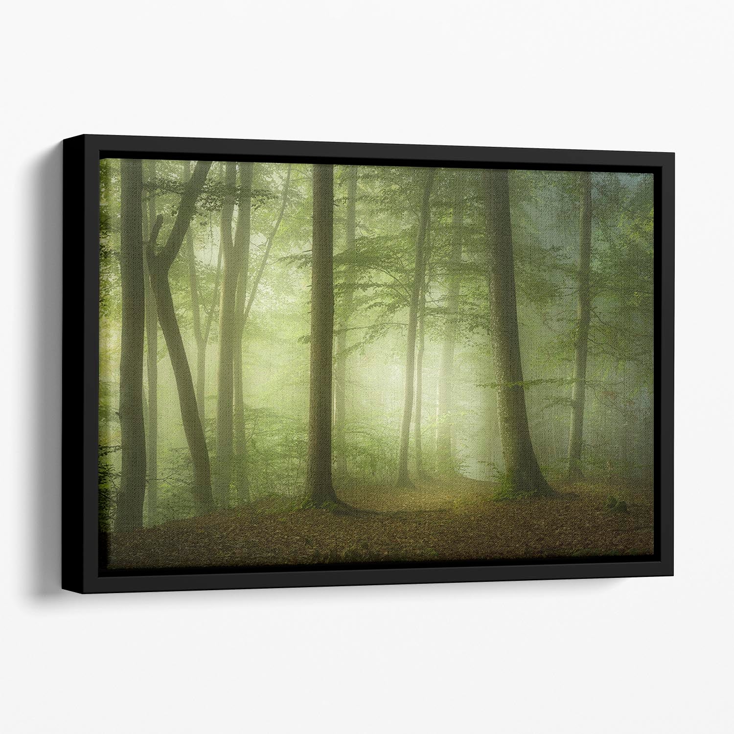 Mysterious Spring Morning Floating Framed Canvas - Canvas Art Rocks - 1