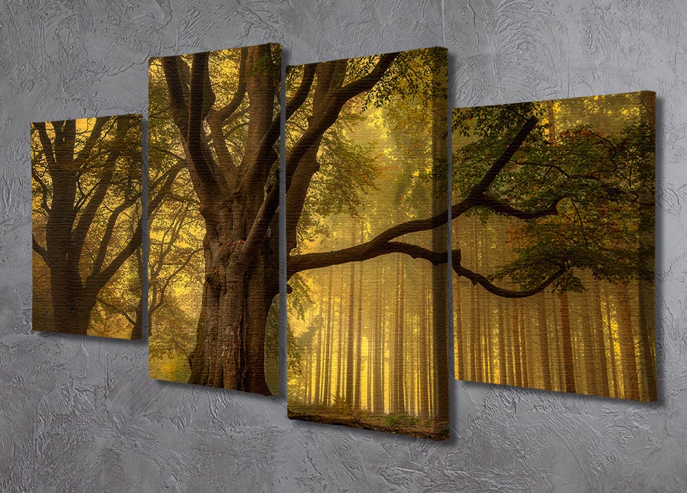 Old Tree 4 Split Panel Canvas - Canvas Art Rocks - 2
