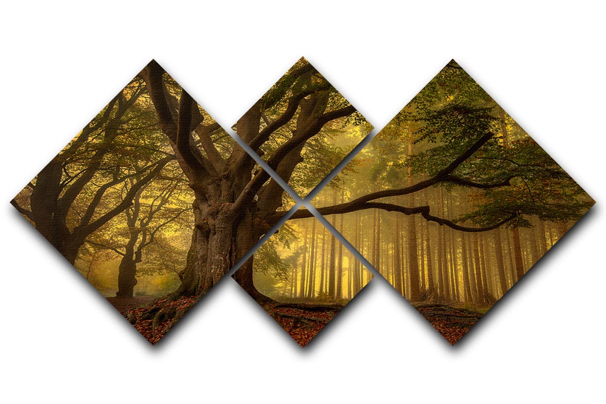 Old Tree 4 Square Multi Panel Canvas - Canvas Art Rocks - 1